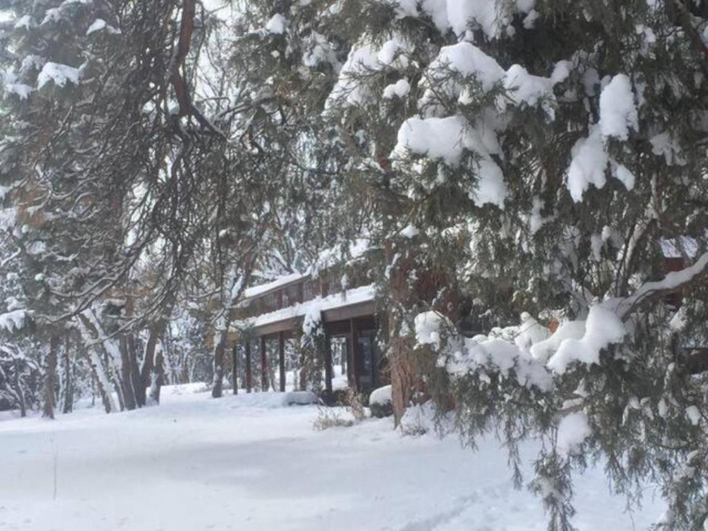 Hermosa Country Sunshine Bed And Breakfast מראה חיצוני תמונה